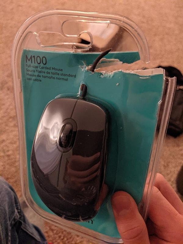 16. "Yeni bir mouse aldım. Gerçekten çok zeki olduğumu bir kere daha kanıtladım."