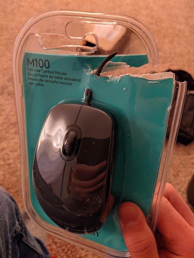 16. "Yeni bir mouse aldım. Gerçekten çok zeki olduğumu bir kere daha kanıtladım."