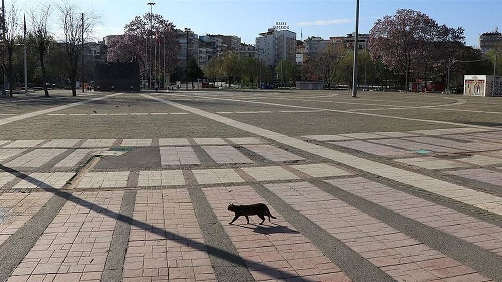 Gazeteci Candaş Tolga Işık'tan 'Tam Kapanma' İddiası: '16 Nisan'da Başlıyor...'