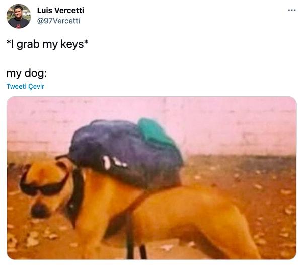 1. "*Anahtarlarımı alıyorum*  O sırada köpeğim: "