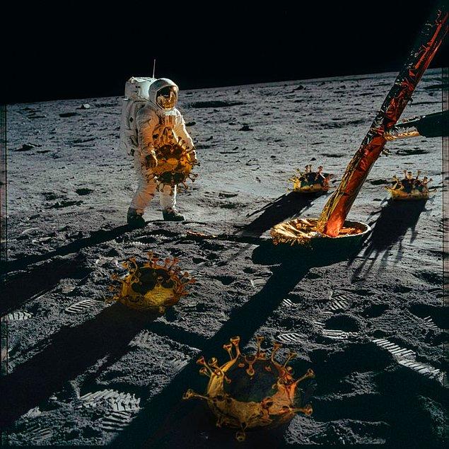 Yaratıcılık kategorisinin  birincisi NASA fotoğraflarıyla Jet Propulsion Laboratory fotoğraflarını birleştiren İngiliz Mark Hamilton'ın oldu.