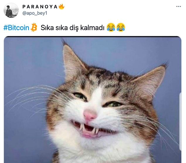 👇