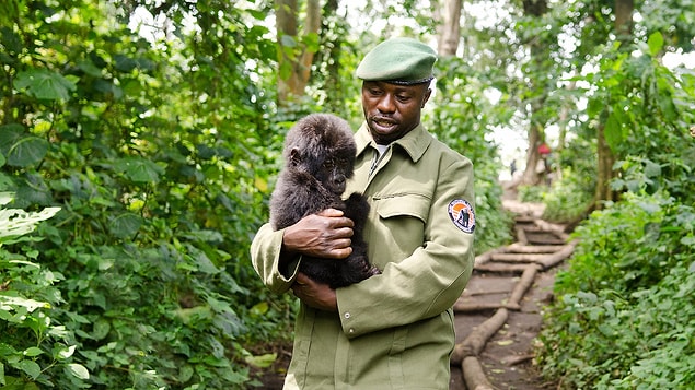 11. Virunga