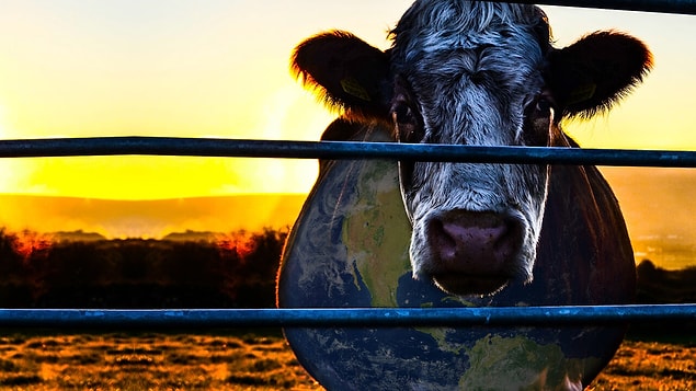 9. Cowspiracy: The Sustainability Secret