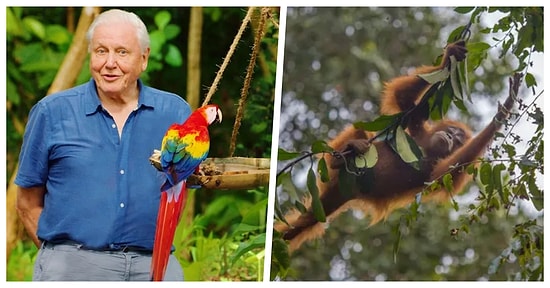 Dünya Günü’nde Mutlaka İzlemeniz Gereken Birbirinden Nefes Kesici 17 Belgesel Dizi ve Film