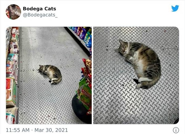 13. Я тут полежу пока, не обращайте на меня внимания :)