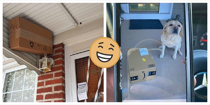 Зал славы курьеров, которые не дают никому скучать (10 фото)