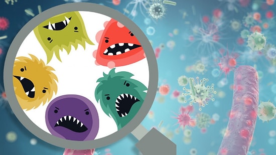 Bir Bulaşıcı Hastalık Olsan Hangisi Olurdun?