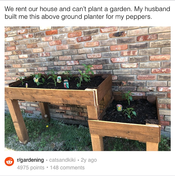 6. "Мы арендуем дом, поэтому не можем ничего сажать в саду. И поэтому мой муж построил мне вот такие грядки для моих перчиков".