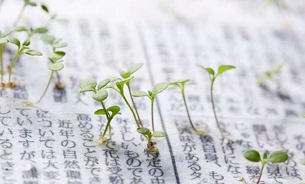 Japonya'da geliştirilen, geri dönüştürülmüş kağıt ve tohumlardan elde edilen çevreci gazete: The Mainichi Shimbunsha