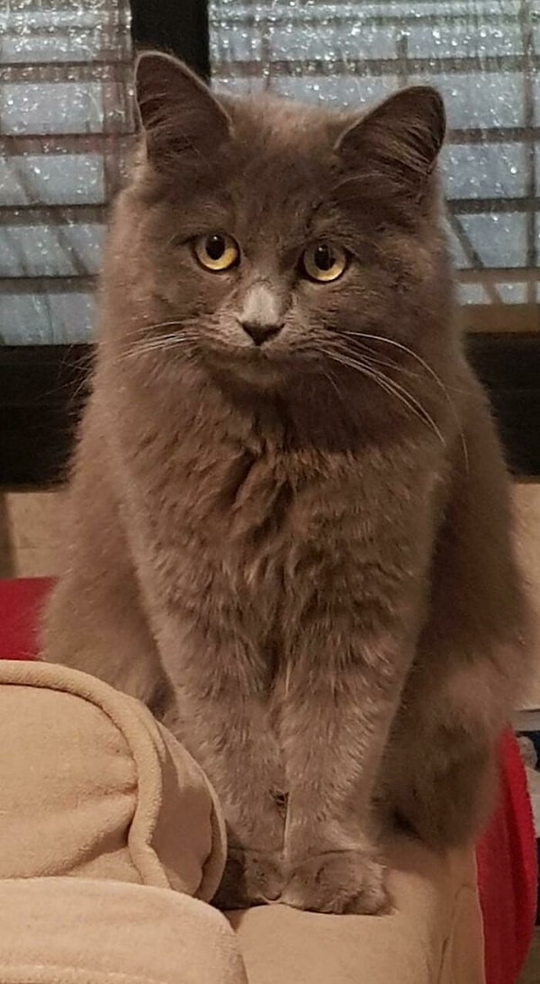 5. Какие же грустные, но полные любви глаза у этой малышки