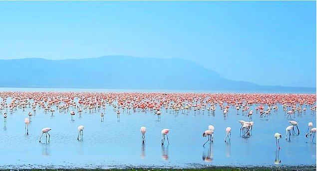 9. ...Bir de Türkiye'nin en sığ gölünü soralım.