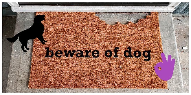 10 придверных ковриков, которые удивят любого гостя