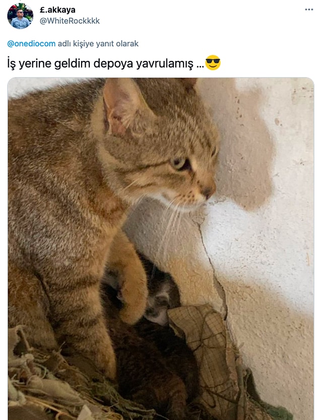 2.