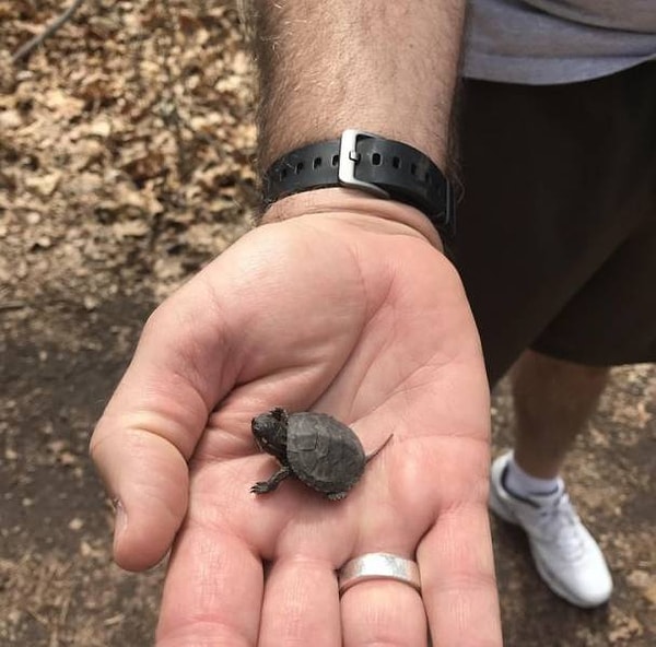 8. "Отец прислал сегодня мне вот такое фото. Похоже, что он с удовольствием проводит свое время на пенсии".