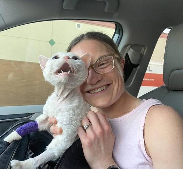 10. "Генри возвращается домой после нескольких дней в ветеринарной клинике. Неизвестно, кто счастлив больше: сам Генри или его хозяйка!"