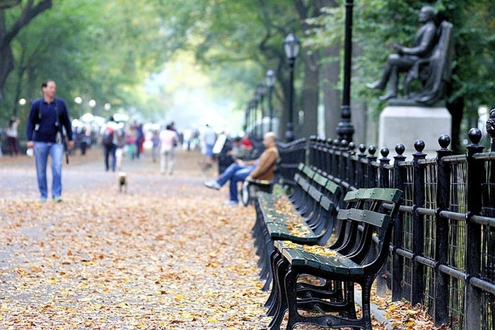İlginç Bir Yatırım! Bir Türk Aile, Central Park’ta 10 Bin Dolara Bank Satın Aldı