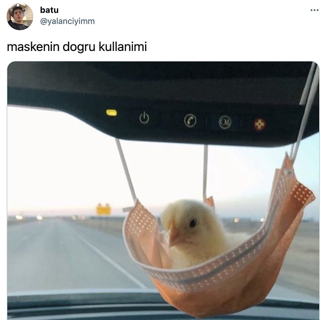 12.