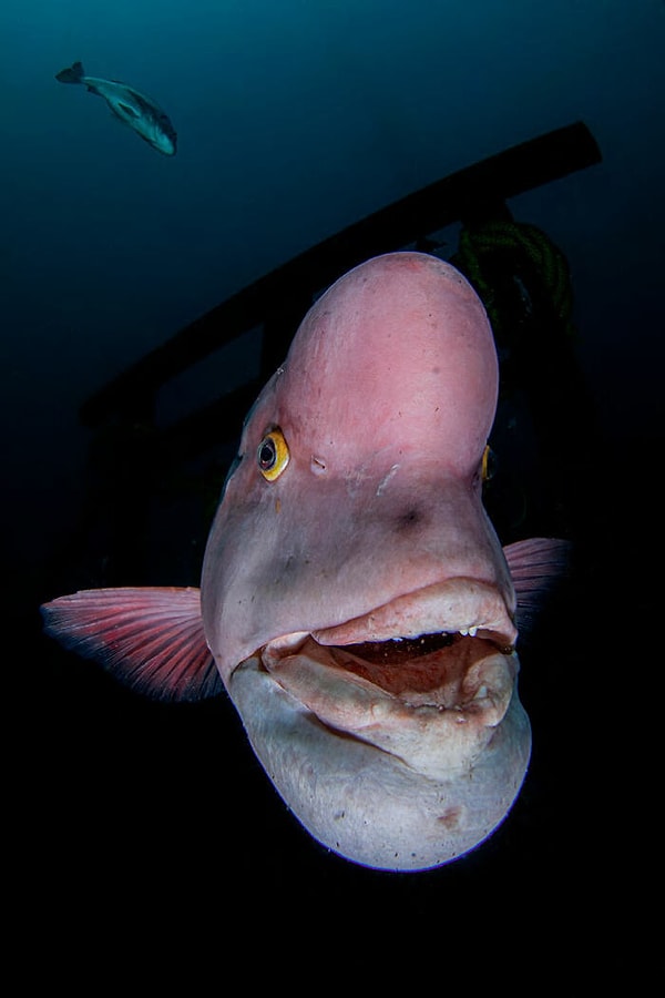 10. «Хранитель семи ключей»