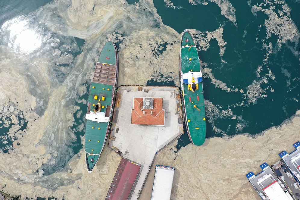 Marmara Denizi'nin Dibi de Salya ile Kaplanıyor