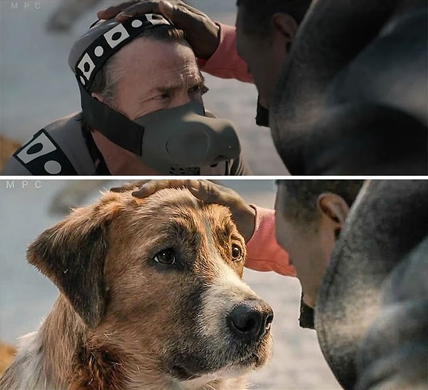 10. Зов предков