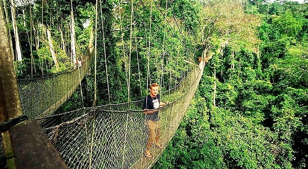 11. Kakum Canopy - Kakum Milli Parkı, Gana