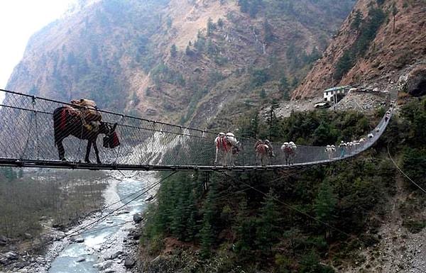 15. Ghasa Asma Köprüsü - Ghasa, Nepal