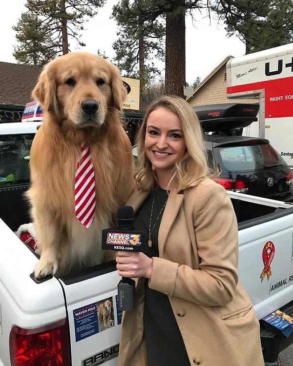 3. Güney Kaliforniya’da belediye başkanı olarak seçilmiş bir köpek vardır. Bu başkan köpeğin adı; Maximus Mighty-Dog Mueller II.