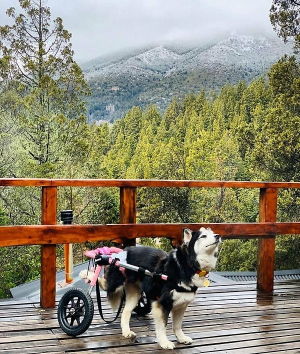 Женщина не покидала Майю первые 48 часов. Она была очень слабой, но в ее глазах было сильное желание жить