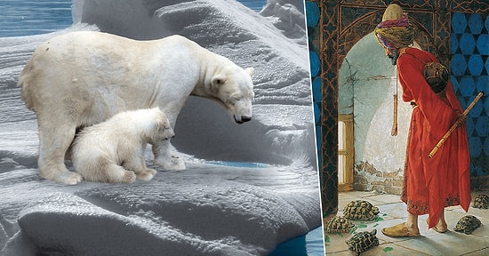 Okuyunca Önceden Öğrendiklerinizi Sorgulatacak 10 Enteresan Bilgi