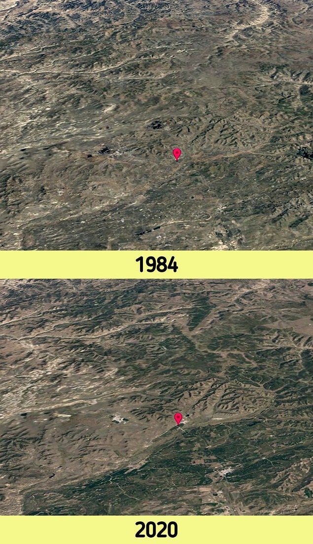 8. Gezegenimiz için yeni yeşil akciğerler: Çin'deki "Yeşil" Çin Seddi