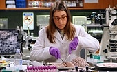 Если вы наберете 7/10 баллов в этом тесте, то ваш IQ точно выше среднего!