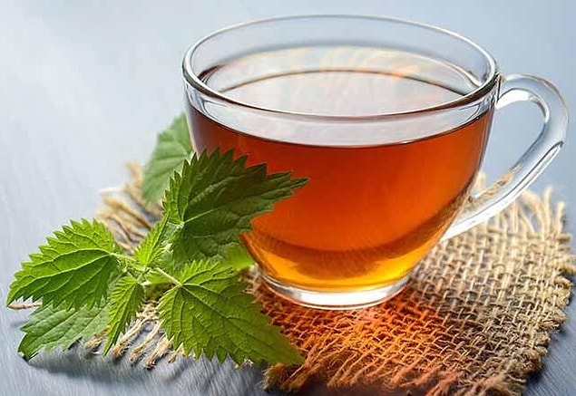 12. Mate yapraklı ısırgan otlu bitki çayı