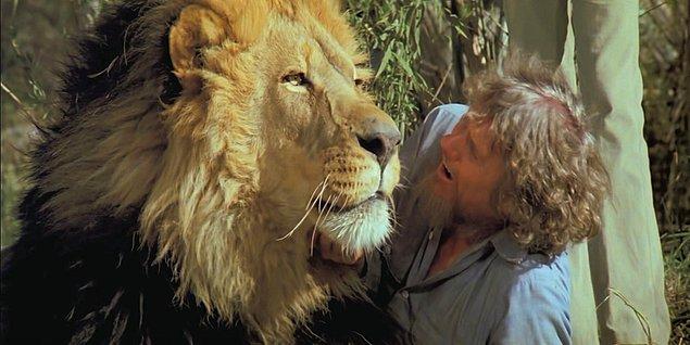 11. 1981 yapımı Roar filmi çekilirken, filmde kullanılan aslanlar 70 kişinin ciddi anlamda yaralanmasına sebep olmuş. Aslanların pençesinin hedefi olan Melanie Griffith'e 100'den fazla dikiş atılmış ve birçok ameliyat geçirmiş.