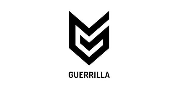 Guerrilla Games neler yaptı?