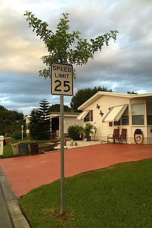 "Ооо, наивный дорожный знак...Надо использовать его в качестве ствола "