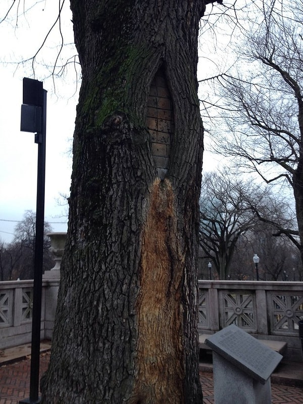 8. "Да, я перекусил кирпичами"