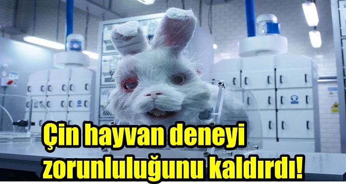 Save Ralph Kısa Filmi İşe Yaradı! Çin Hayvan Deneylerine Karşı Büyük Bir Adım Attı 👏