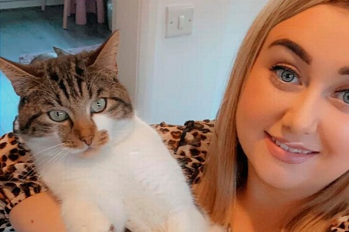 Самый живучий кот Британии пережил три перестрелки, где его трижды ранили