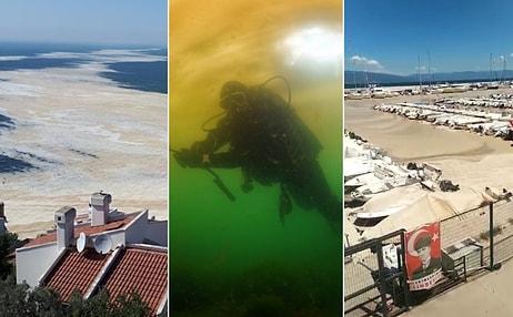 🌊 Deniz Salyası Yüzünden Ölmek Üzere Olan Marmara Denizi'nin Canınızı Sıkacak Görüntüleri