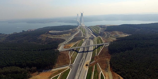 Kuzey Marmara Otoyolu ve 3. Havalimanı için yok edilen milyonlarla ağaç...