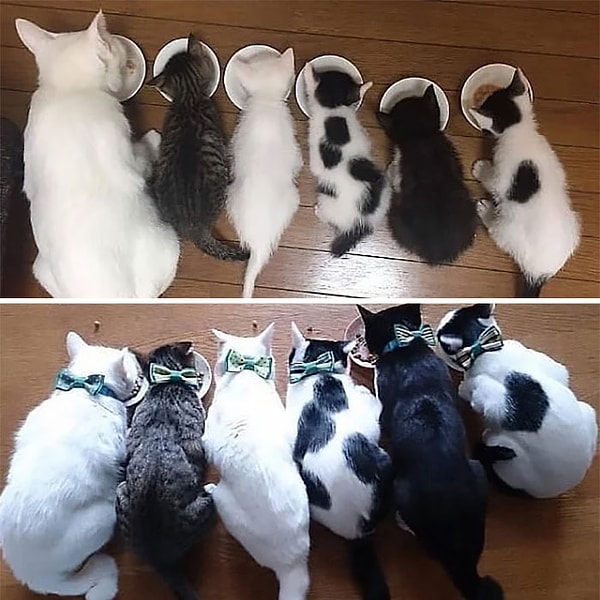 9. Время летит так быстро