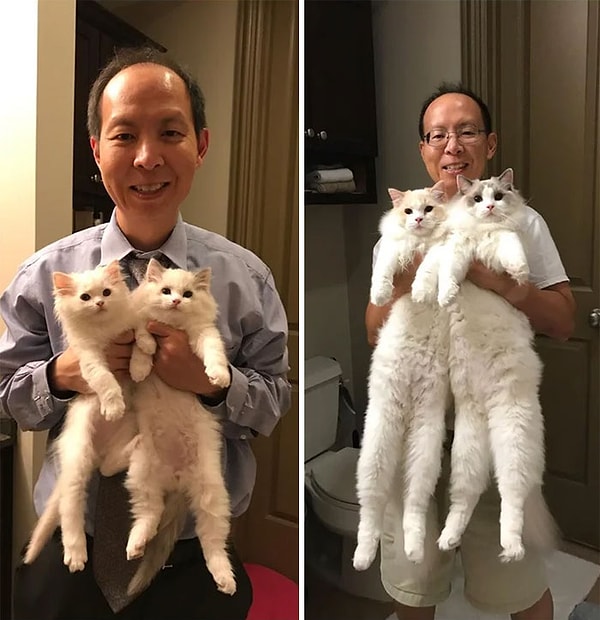 13. 6 месяцев спустя