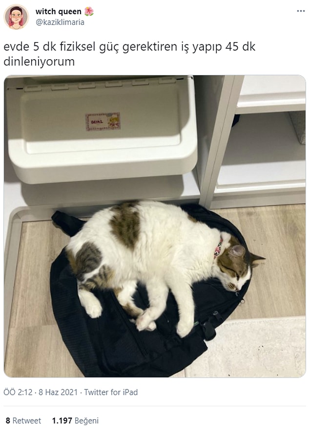 6. Her işin sonunda böyleyiz.