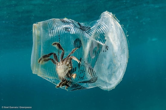 Araştırma: Avrupa’da Denizleri En Çok Kirleten Ülke Türkiye...