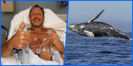 ABD'li Bir Balıkçı Kambur Balinanın Kendisini Yutup 40 Saniye Sonra Püskürttüğünü Öne Sürdü!