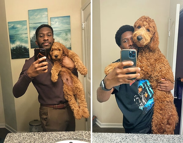 23. 8 недель и 8 месяцев