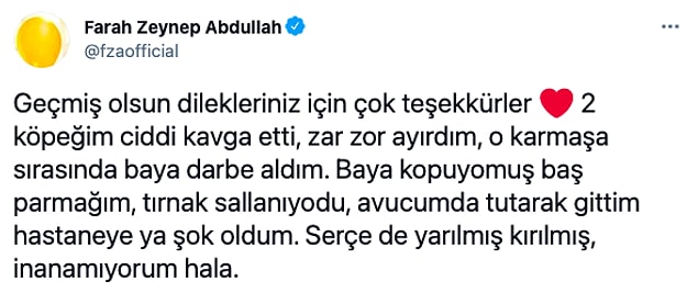 İşte yaşadıkları: