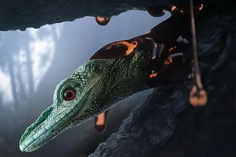 Dünyanın En Küçük Dinozorunun Sırrı Açığa Çıktı: Aslında Kertenkeleymiş