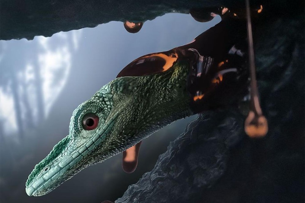 Dünyanın En Küçük Dinozorunun Sırrı Açığa Çıktı: Aslında Kertenkeleymiş